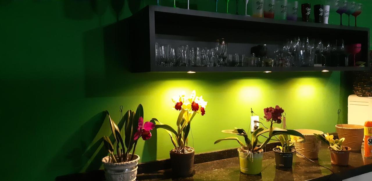 Quinta Do Lapa II Apartment ฟลอเรียนอโปลิส ภายนอก รูปภาพ
